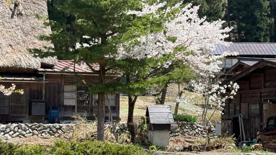 サプライヤーによってアップロードされた、高山の金沢/高山発：白川郷＆高山日帰りツアーの画像#35
