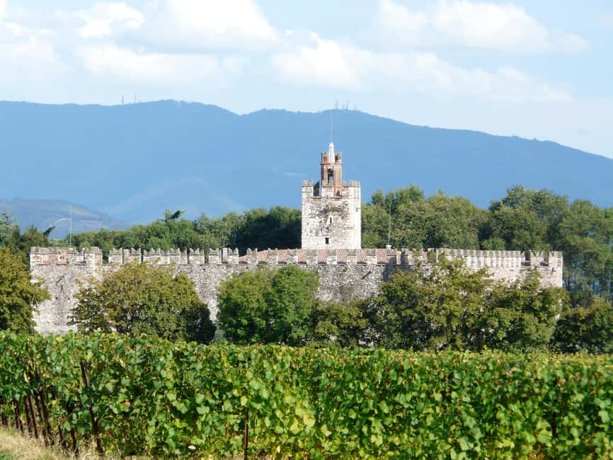 Obraz nr 8 z atrakcji Z Bergamo: Wycieczka do winiarni we Franciacorta z lunchem w Lombardia, przesłany przez organizatora