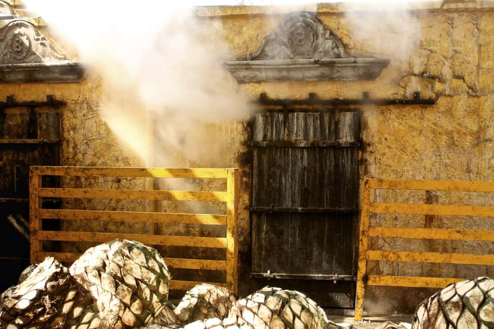 image n.5 of From Guadalajara: La Rojeña Distillery & Jose Cuervo Train activity in Tequila, uploaded by supplier