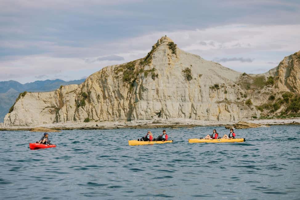image n.5 of Kaikoura: Seal-Watching Pedal Kayak Tour activity in Kaikoura, uploaded by supplier