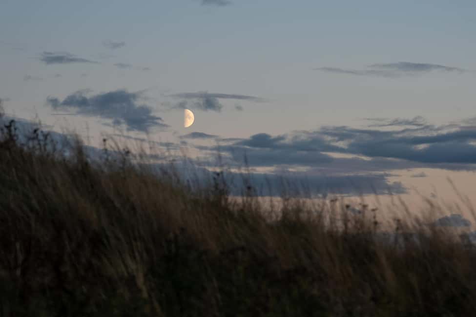 Immagine nº 15 di Edimburgo: Escursione al tramonto sull'Arthur's Seat attività a Edimburgo, caricata dal fornitore