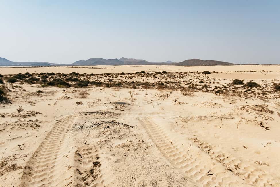 image n.12 of Fuerteventura: Dune Buggy Tour in Northern Fuerteventura activity in Villaverde, uploaded by supplier