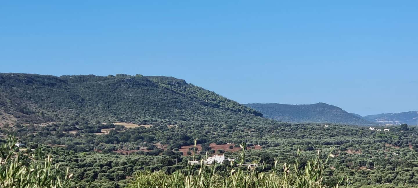 Immagine nº 8 di Ostuni: Tour in bicicletta con un bicchiere di vino e bruschetta attività a Ostuni, caricata dal fornitore