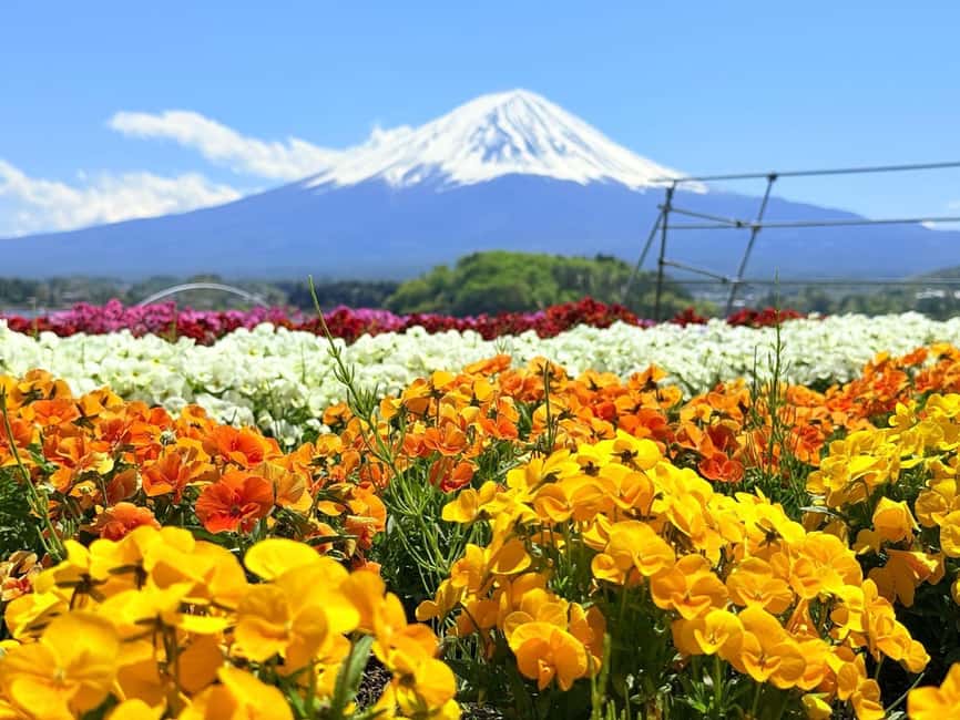 image n.2 of Mt.Fuji Private tour from Tokyo/Yokoham (Customizable) activity in Hakone, uploaded by supplier