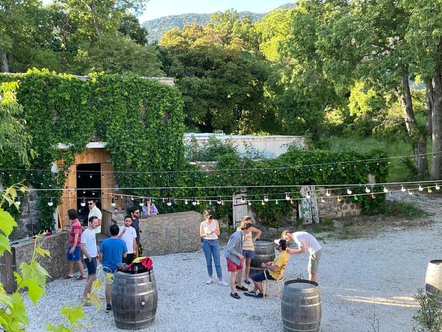 imagem n.12 de Montpellier: Excursão vinícola Pic Saint-Loup atividade em Sul da França, carregada pelo fornecedor