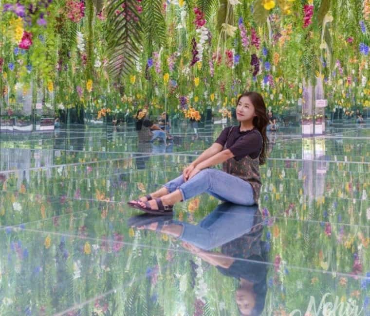 imagen n.º 1 de Desde Seúl: Parque de las Begonias, bicicleta sobre raíles y visita a los jardines. actividad en Gapyeong-gun, subida por el proveedor