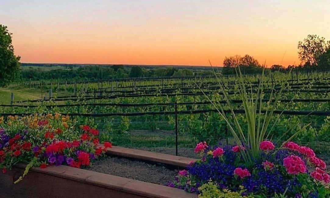 imagem n.9 de Ottawa: Tour local de vinho e sidra atividade em Ottawa, carregada pelo fornecedor
