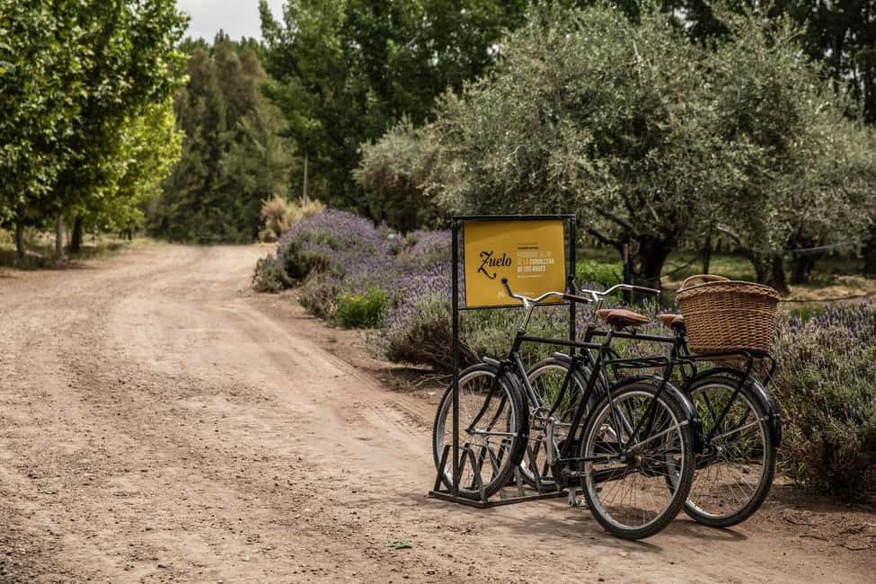 imagem n.2 de Passeio de bicicleta em Zuccardi: Azeite, prova de vinhos e almoço atividade em Mendoza, carregada pelo fornecedor