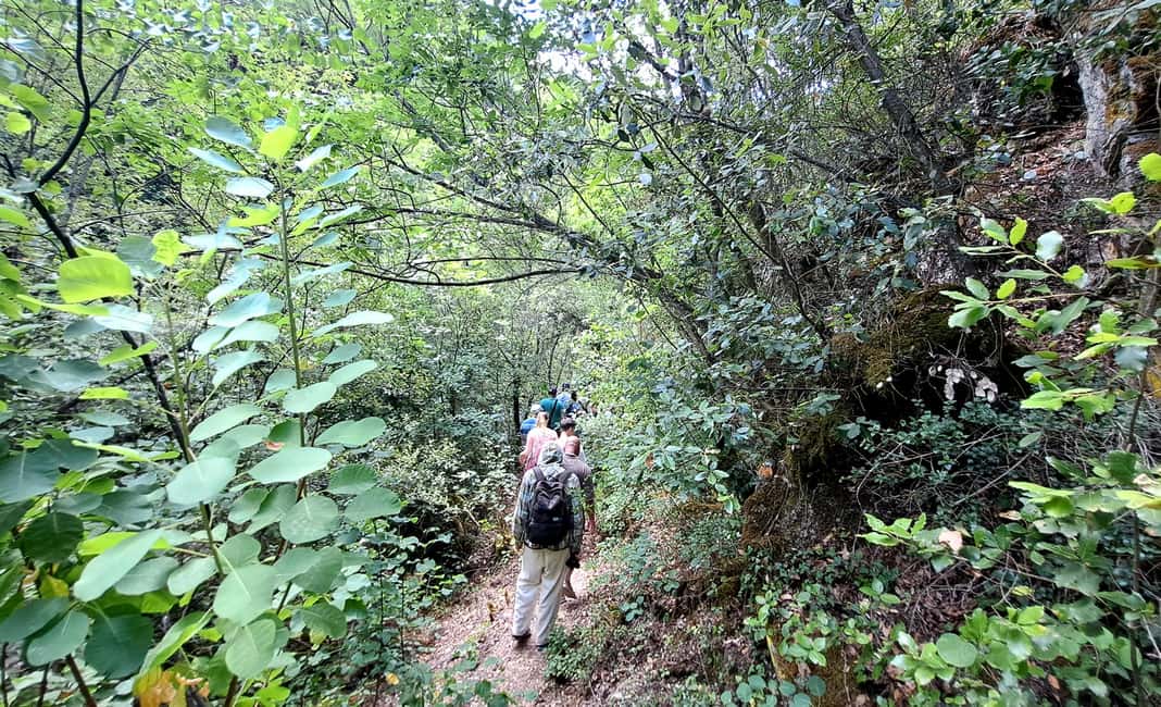 image n.10 of From Thessaloniki: Day Trip to Dion and Mount Olympus Park activity in Dion, Pieria, uploaded by supplier