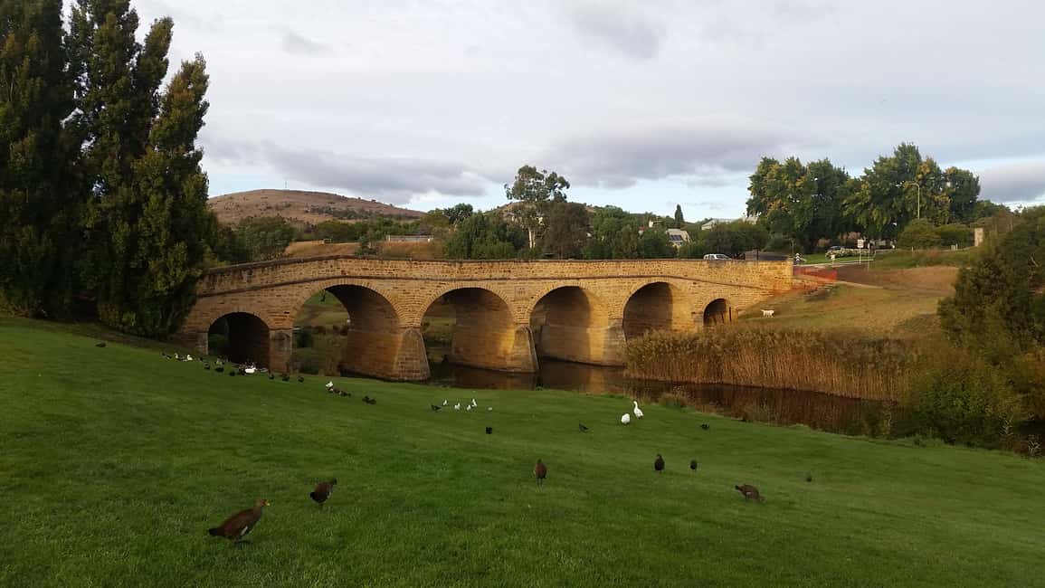 image n.16 of Hobart: Port Arthur, Richmond & Tassie Devil - Active Tour activity in Tasmania, uploaded by supplier