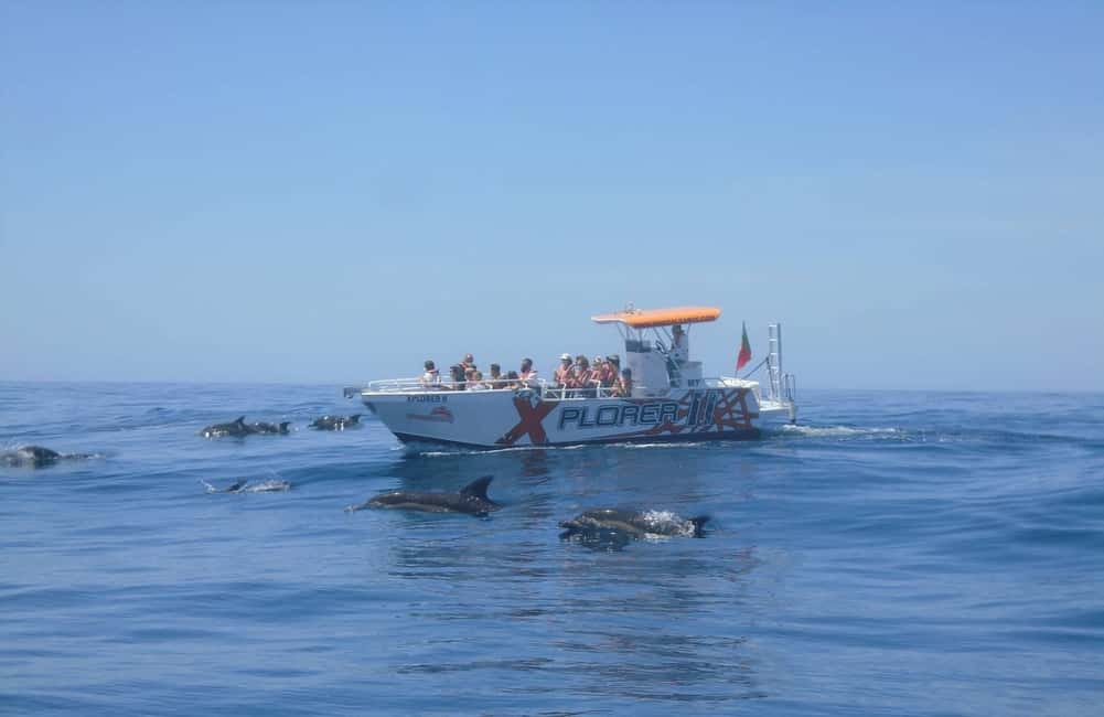 image n.4 of Albufeira: Dolphin Watching and Benagil Cave activity in Benagil, uploaded by supplier