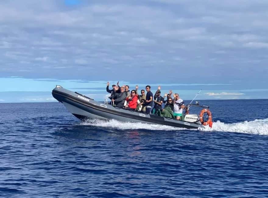 image n.4 of Terceira: Half-Day Dolphin and Whale Watching Tour activity in Angra do Heroísmo, uploaded by supplier