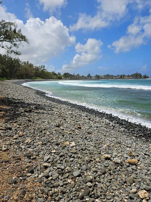 bild nr.11 av Mauritius: Vaniljpark och vilda stränder Tour aktivitet i Riviere des Anguilles, uppladdad av arrangören
