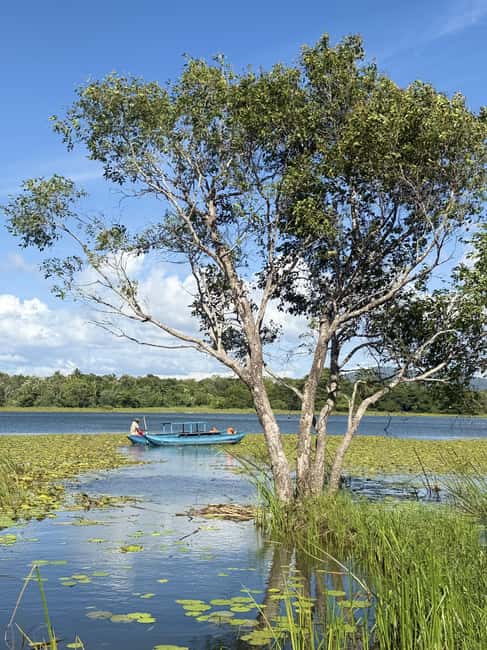 image n.6 of Trincomalee to Sigiriya:Rural Village Tour & Elephant Safari activity in Trincomalee, uploaded by supplier