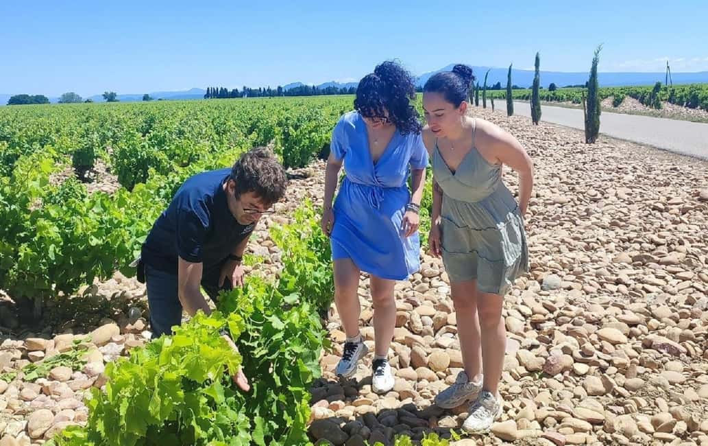 billede nr.9 af aktiviteten Fra Avignon: Châteauneuf du Pape halvdagstur i vinens tegn i Avignon, uploadet af udbyder