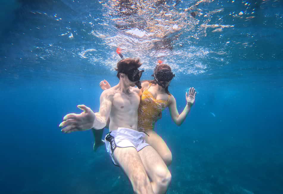 billede nr.22 af aktiviteten Ko Tao: Snorkeltur for senvågnere med frokost og fotos i Thailandbugten, uploadet af udbyder