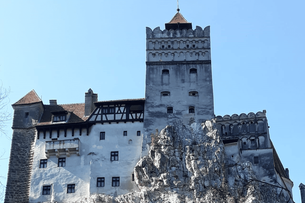 image n.20 of Legends&Wildlife Awaits: Dracula's Castle & Bear Sanctuary activity in Brasov, uploaded by supplier