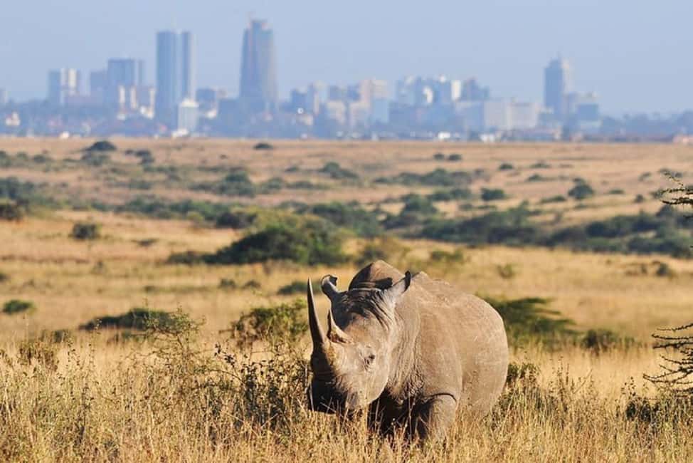 image n.1 of Nairobi National Park, Elephant Orphanage & Giraffe Centre activity in Nairobi, uploaded by supplier