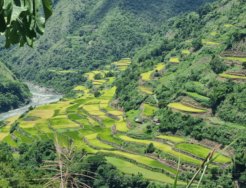 imagem n.6 de De Manila: Excursão de 2 dias a Buscalan com Apo Whang-od atividade em Manila, carregada pelo fornecedor