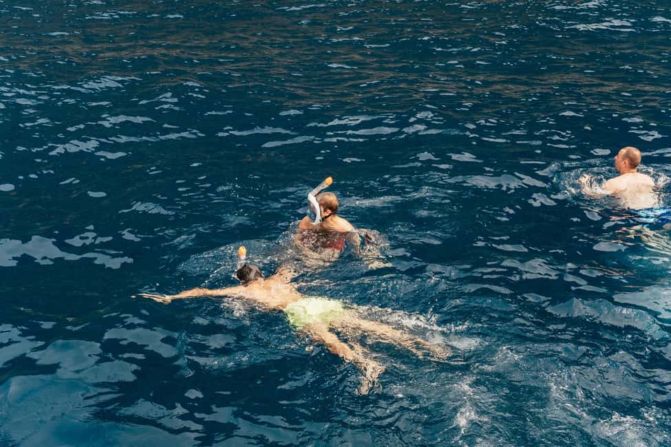 image n.15 of Costa Adeje: Whale & Dolphin Eco-Cruise with Snacks & Drinks activity in Costa Adeje, uploaded by supplier
