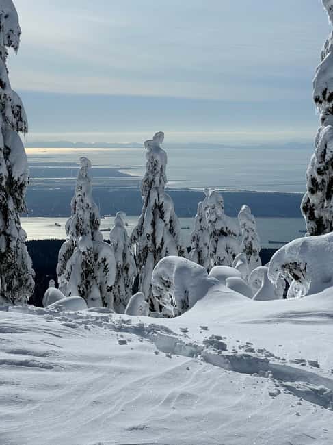 image n.11 of Vancouver: North Shore Mountains Snowshoeing with Transfer activity in West Vancouver, uploaded by supplier