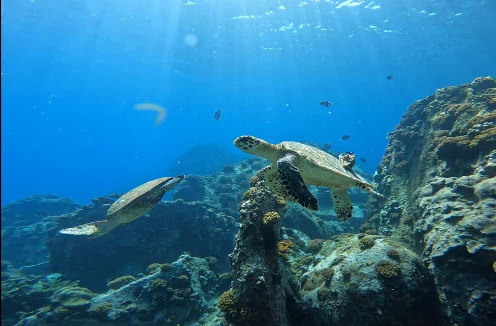 image n.7 of Tropical Trio Escape: Coco, Félicité & La Digue Island. activity in Mahé, uploaded by supplier