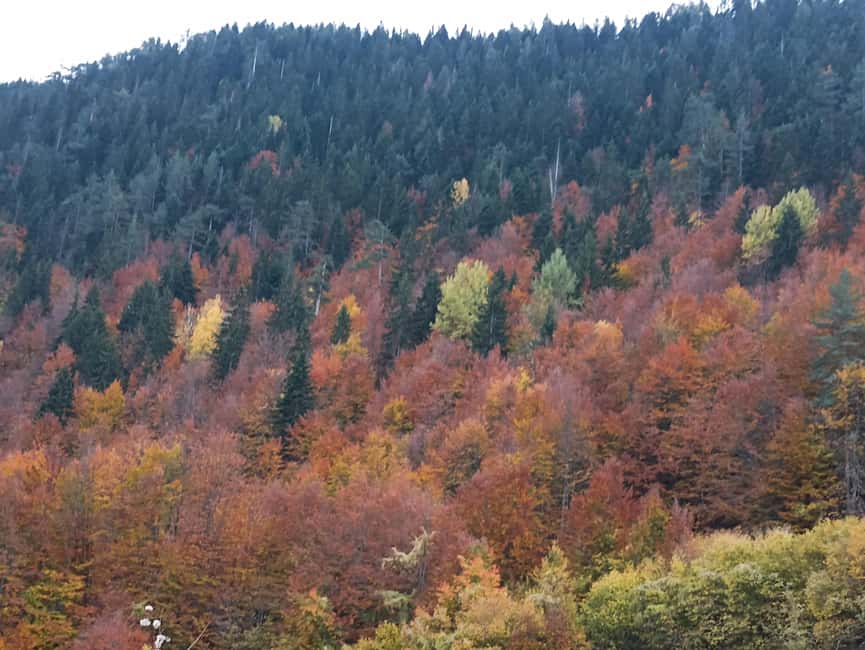 image n.13 of From Podgorica: Durmitor NP & Tara canyon-Amazing Montenegro activity in Žabljak, uploaded by supplier