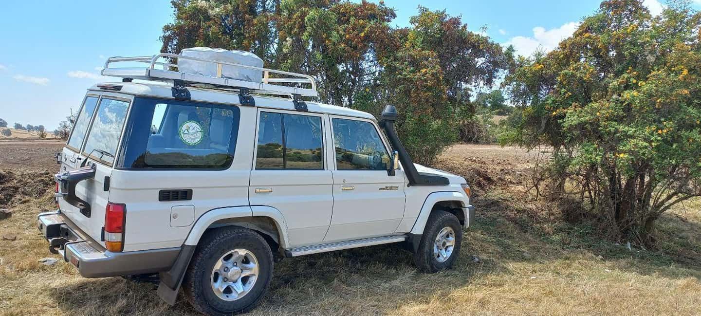 image n.12 of 3 Days Trekking & Wildlife Spotting in the Simien Mountains activity in Amhara Region, uploaded by supplier