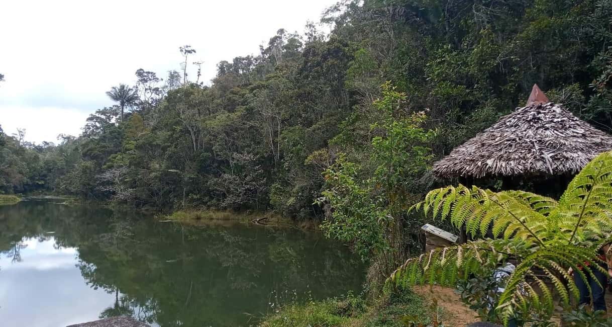image n.8 of Madagascar: Indri Lemur Encounter Experience 4-days trip activity in Antananarivo Renivohitra, uploaded by supplier