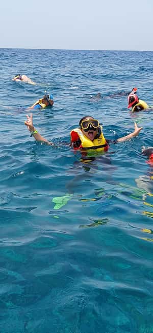 imagem n.6 de Passeio de snorkeling com guia local certificado atividade em Pedra de Lume, carregada pelo fornecedor