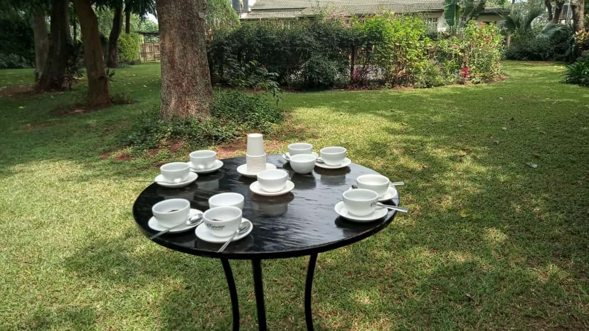image n.75 of Coffee Farm Tour (Fairview) activity in Kiambu, uploaded by supplier