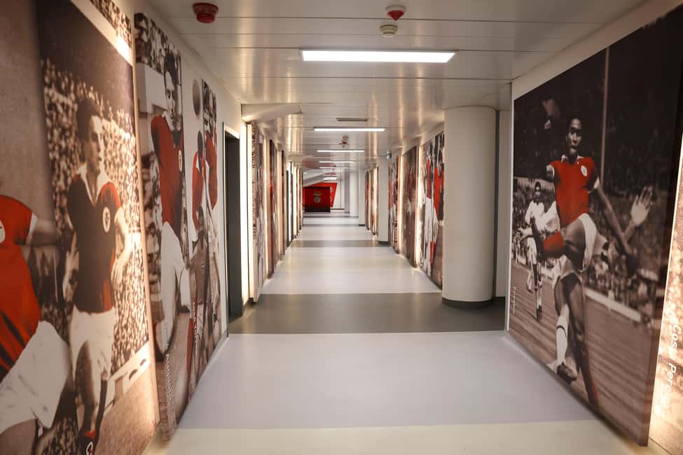 imagem n.3 de Lisboa: Passeio pelo estádio do Benfica Luz com cachecol de lembrança atividade em Lisboa, carregada pelo fornecedor