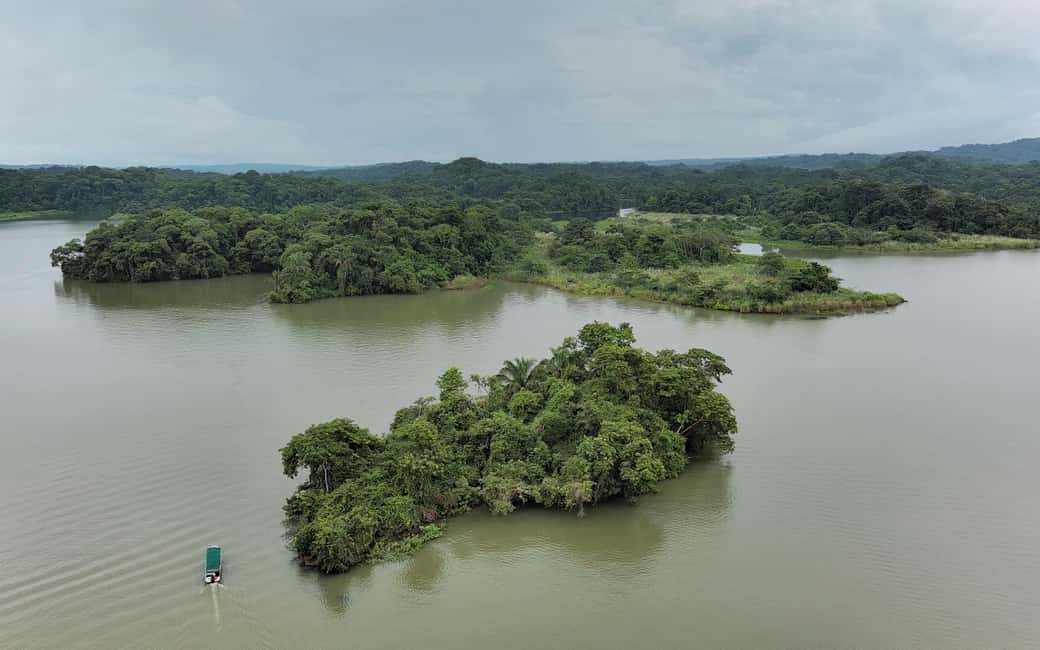 image n.13 of Panama Canal: Monkey Island and Jungle Hike Eco Tour activity in Colón Province, uploaded by supplier