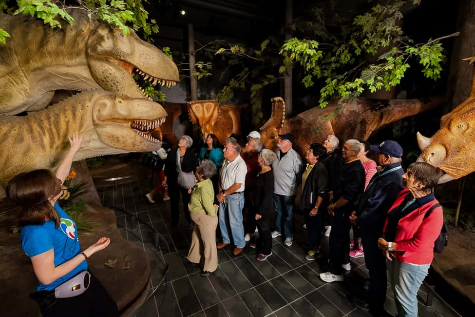 imagem n.13 de Otava: Ingresso no Museu Canadiano da Natureza atividade em Ottawa, carregada pelo fornecedor