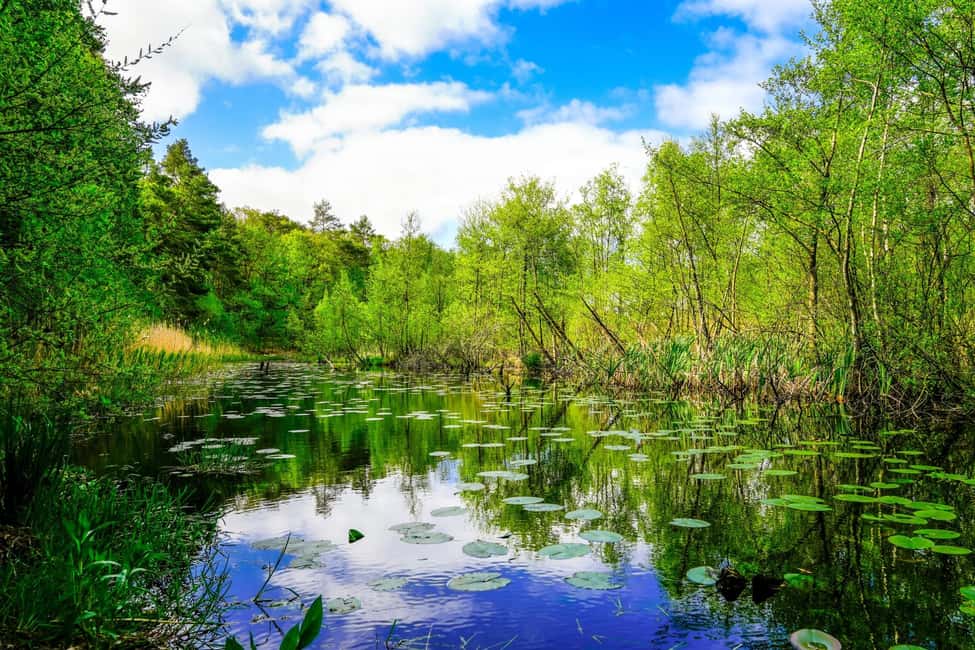 image n.13 of Szczecin Wolin National Park Private Guided Tour activity in West Pomeranian Voivodeship, uploaded by supplier