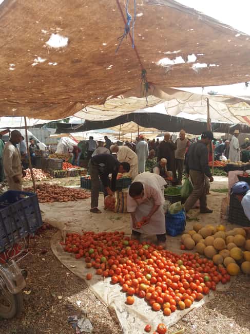 image n.16 of Marrakech: ourika valley & waterfall Day Trip with guide activity in Marrakesh, uploaded by supplier