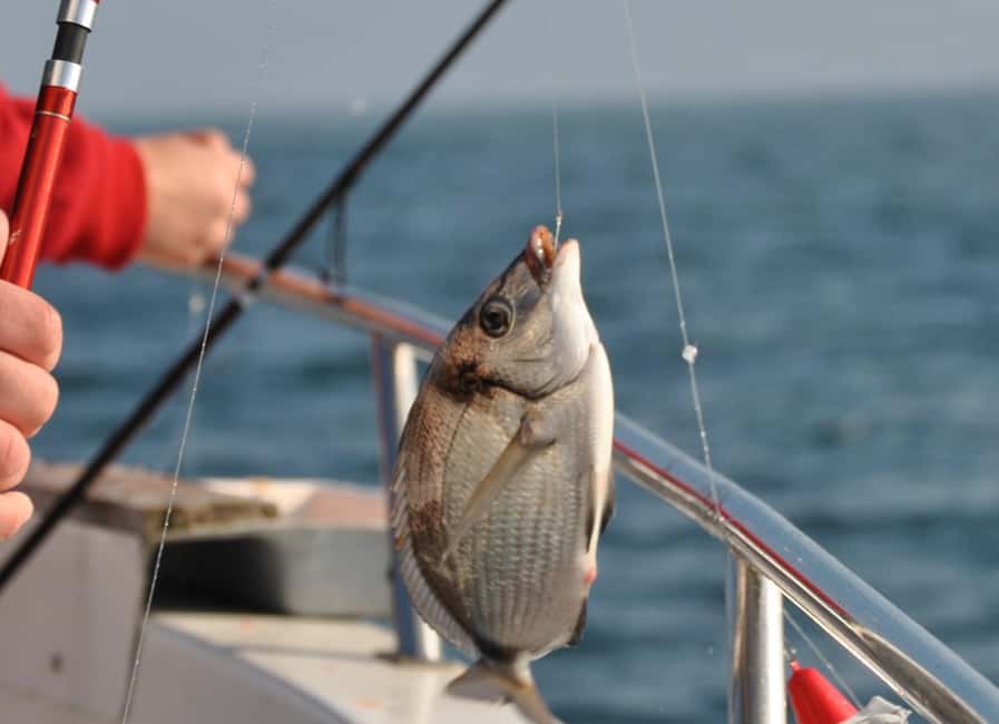 image n.12 of Half Day Fishing Trip activity in Cascais, uploaded by supplier