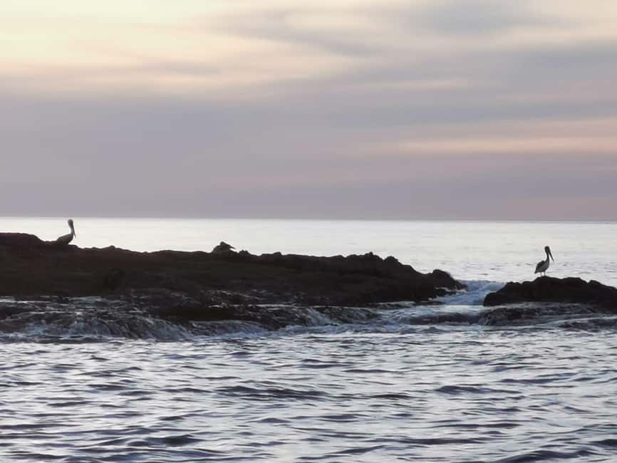 image n.11 of Guanacaste: Catamaran Private Sailing Tour activity in Guanacaste, uploaded by supplier