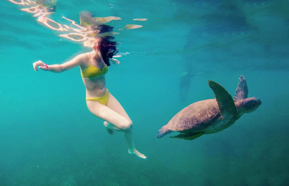 billede nr.17 af aktiviteten Privat charterbåd rundt i snorkelparadiset Koh Tao i Ko Tao, uploadet af udbyder