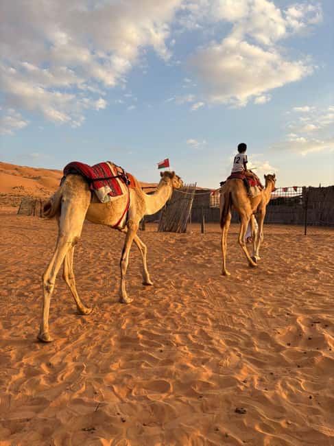Immagine nº 3 di Muscat: Tramonto nel deserto e Wadi Bnai Khalid Tour di un giorno intero + pranzo attività a Regione al-Sharqiyya, caricata dal fornitore