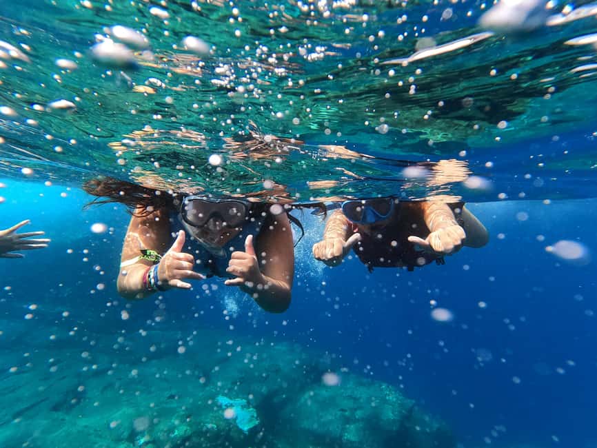 image n.48 of Tenerife: Kayak & Snorkel with Turtles & Dolphins w/Photos activity in Los Cristianos, uploaded by supplier