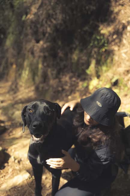 image n.5 of From Medellin Waterfalls: Guided Hiking Tour in Nature activity in Medellin, uploaded by supplier