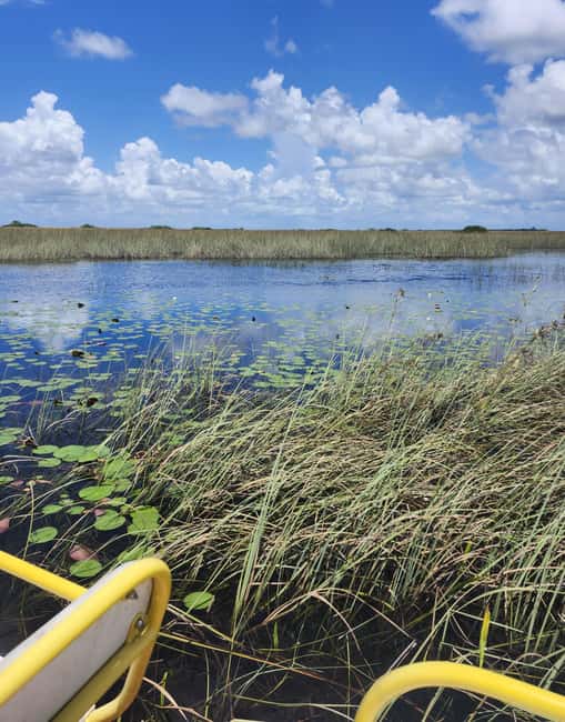 bild nr.14 av Miami: Everglades Airboat Eco Tour med lyxig transport aktivitet i Florida, uppladdad av arrangören