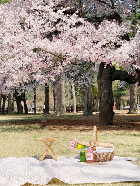 imagen n.º 2 de Seúl: Isla Nami, Mundo de las Alpacas, Jardín de la Calma Matutina actividad en Provincia de Gangwon-do, subida por el proveedor