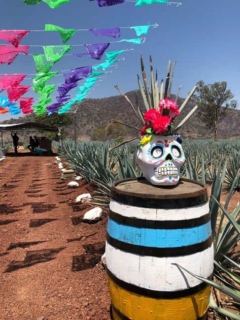 imagen n.º 15 de Tour Clásico Ruta de Tequila desde Guadalajara y cantaritos el GÜERO!!! actividad en Amatitán, subida por el proveedor