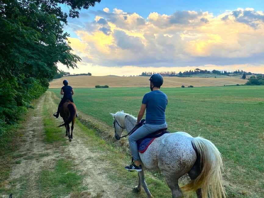 imagen n.º 12 de Siena: Paseos a caballo con Siena al fondo actividad en Siena, subida por el proveedor