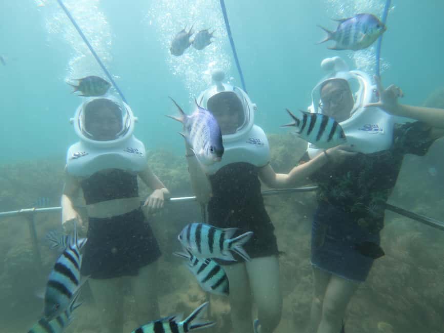 image n.15 of Cham Island: Underwater Walking & Snorkeling Tour activity in Hoi An, uploaded by supplier