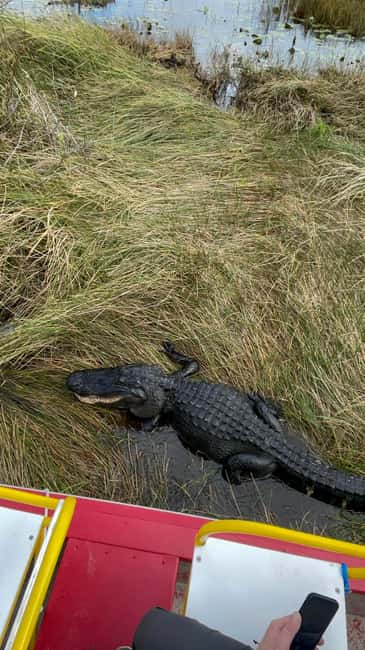 image n.5 of Miami: Everglades Full-Day Tour with 2 Boat Trips and Lunch activity in Florida, uploaded by supplier