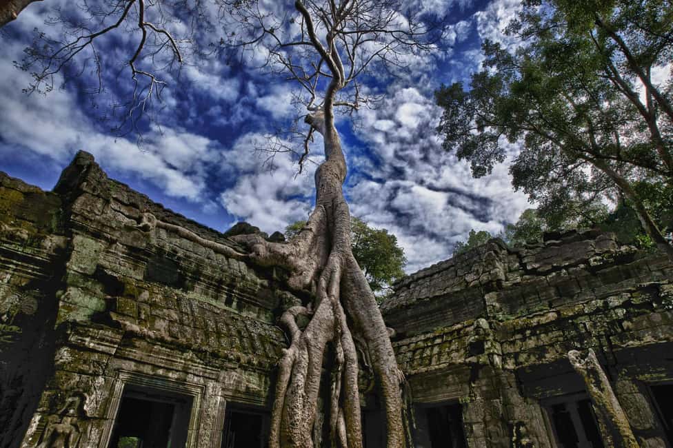 image n.12 of Angkor Zipline and Temple Tour with Sunset activity in Siem Reap, uploaded by supplier