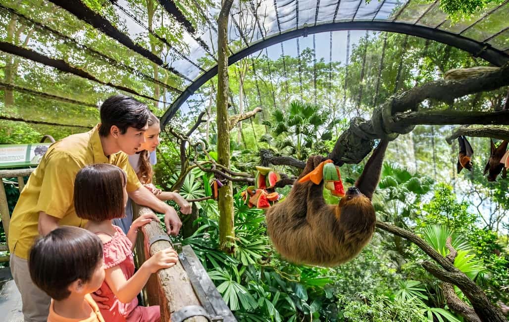 imagen n.º 1 de Zoo de Singapur: Ticket electrónico de entrada de 1 día actividad en Singapur, subida por el proveedor